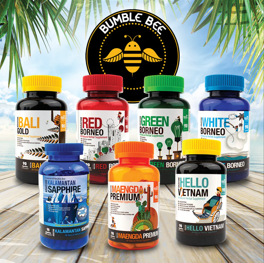 services-03 Screen Shot 2024 03 08 At 2.31.52 PM